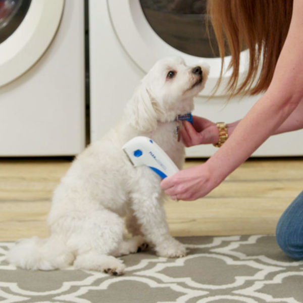Find, Kill & Remove Pesky Fleas In Minutes-Imported from the United States-Flea Doctor™
