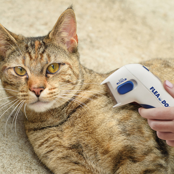 Find, Kill & Remove Pesky Fleas In Minutes-Imported from the United States-Flea Doctor™